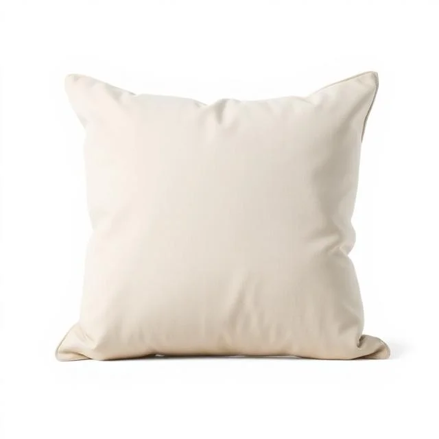 Throw Pillow (Standard Decorative)