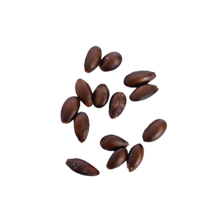 Apple Seed