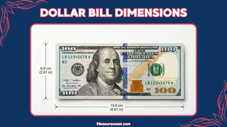 Dollar Bill Dimensions