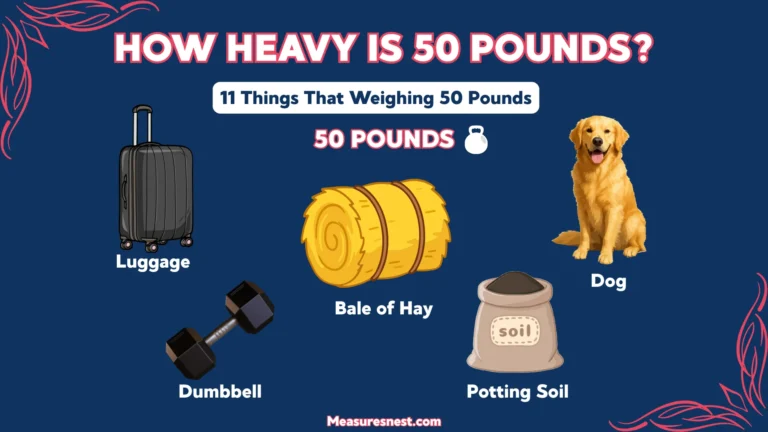 How Heavy Is 50 Pounds