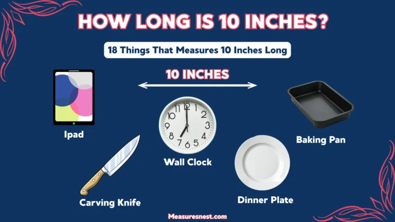 How Long Is 10 Inches