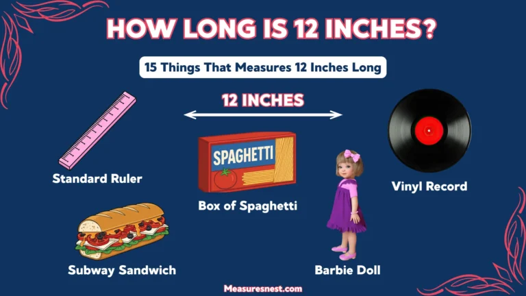 How Long Is 12 Inches