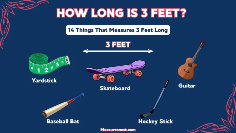 How Long Is 3 Feet