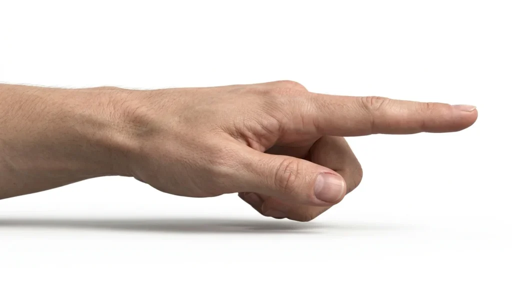 Index Finger Length
