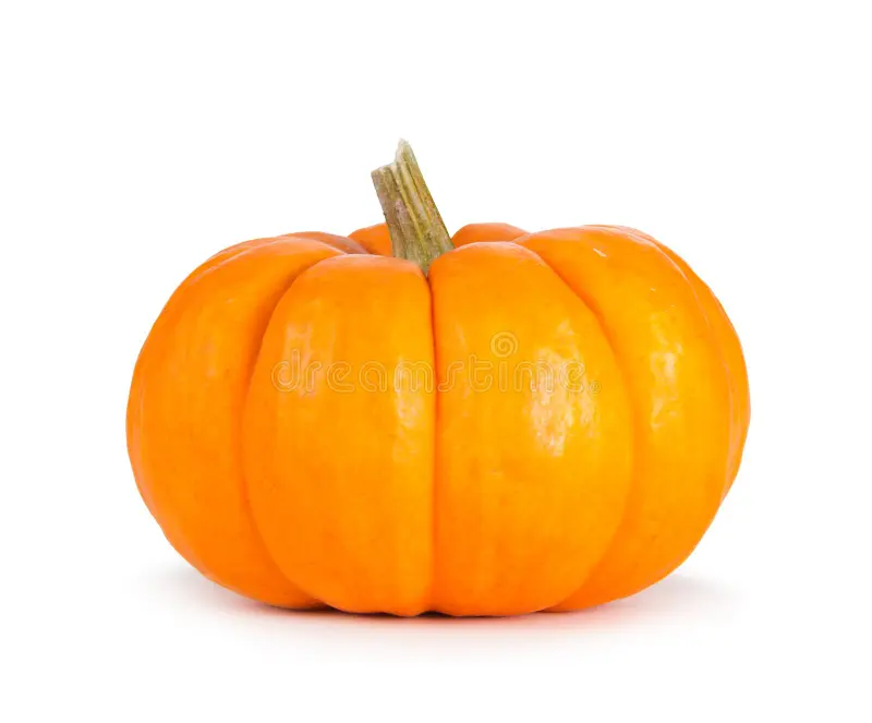 Large Pumpkin